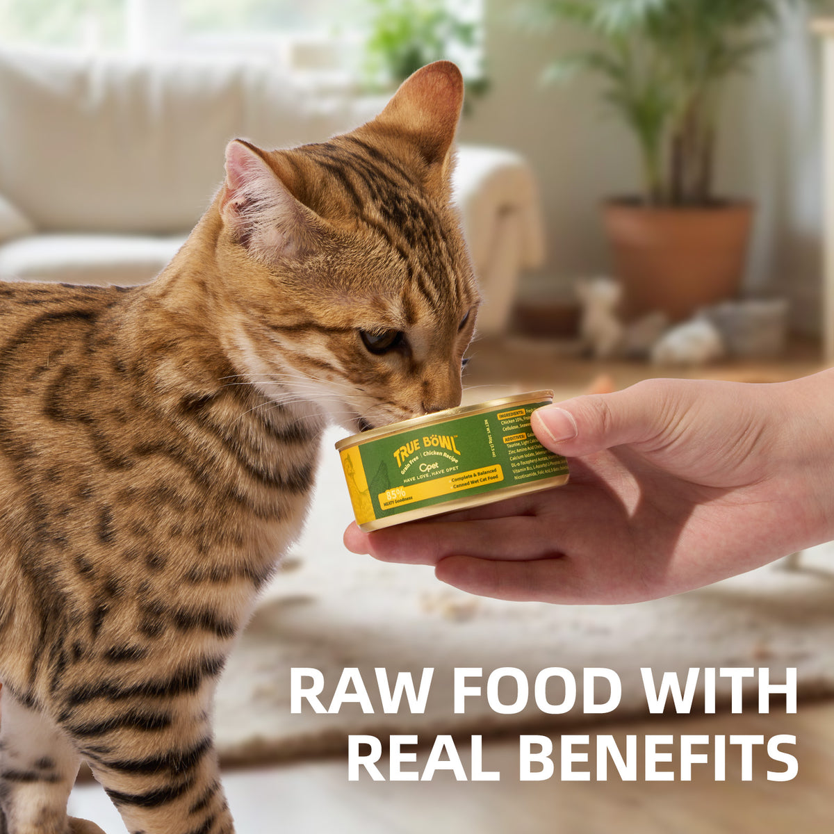 OPET True Bowl Rabbit Pâté Wet Cat Food