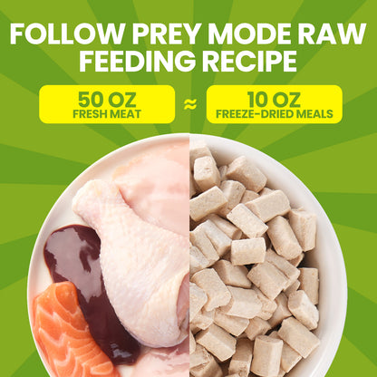 OPET Freeze-Dried Raw Cat Food – Chicken Recipe with Salmon Oil