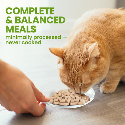 OPET Freeze-Dried Raw Cat Food – Rabbit Recipe with Salmon Oil