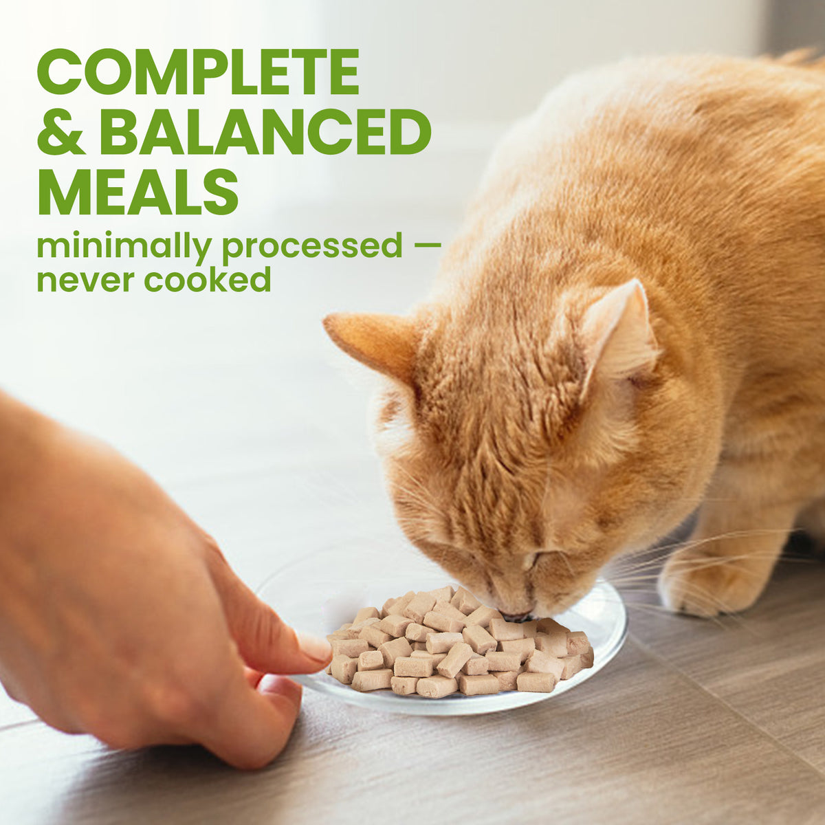 OPET Freeze-Dried Raw Cat Food – Chicken Recipe with Salmon Oil