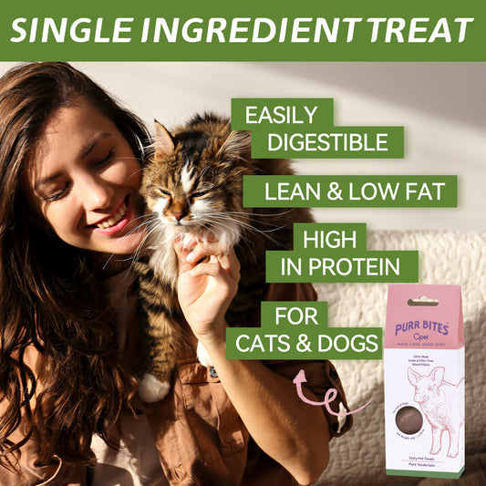 OPET Purr Bites Freeze Dried Cat Treats (Pork, 42 g)