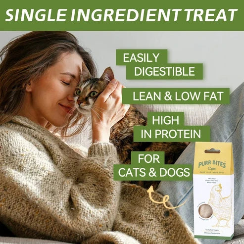 OPET パーバイツ フリーズドライ猫用おやつ 鶏むね肉そのままスライス 40g