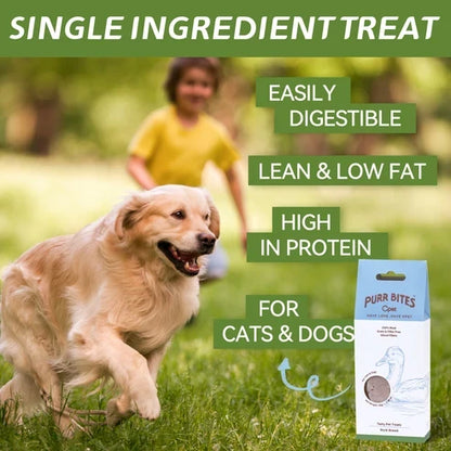 OPET パーバイツ フリーズドライ猫用おやつ ダック 42g