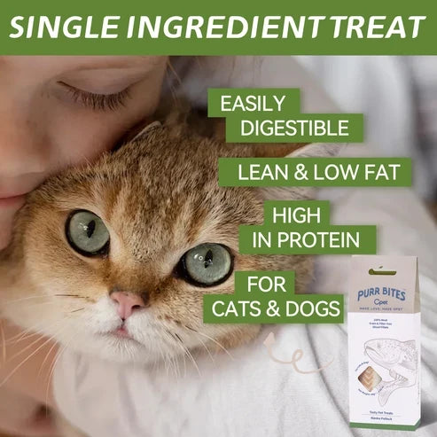 OPET パーバイツ フリーズドライ猫用おやつ タラ 40g