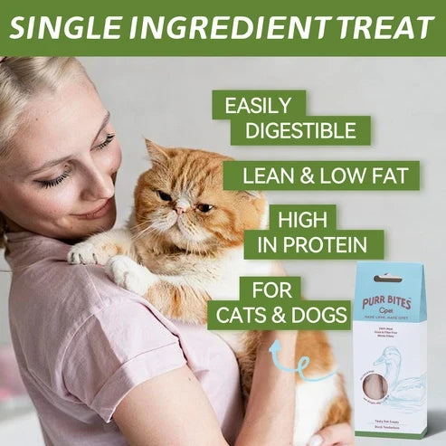 OPET パーバイツ フリーズドライ猫用おやつ 鴨むね肉 40g