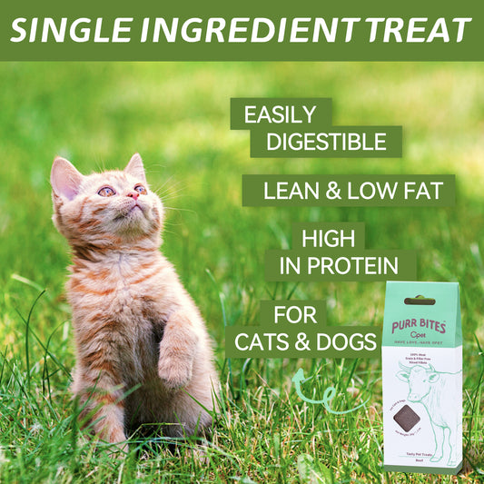 OPET Purr Bites Freeze Dried Cat Treats (Beef, 28 g)