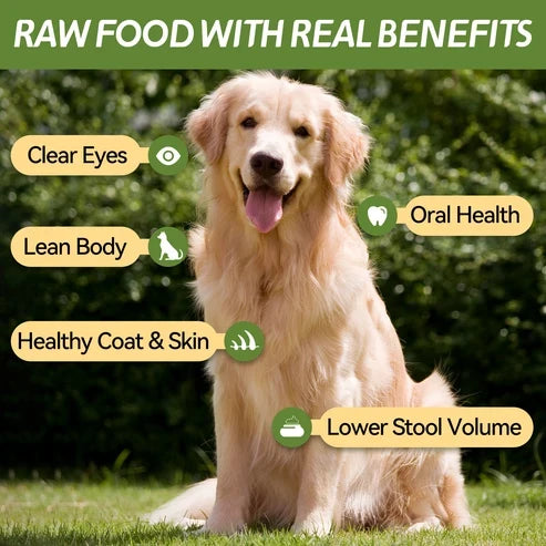 OPET パーバイツ フリーズドライ猫用おやつ 鶏むね肉そのままスライス 40g