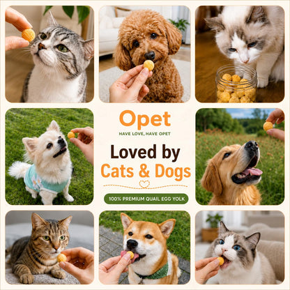 OPET Purr Bites Freeze Dried Cat Treats(Quail Egg Yolk, 2.8g)