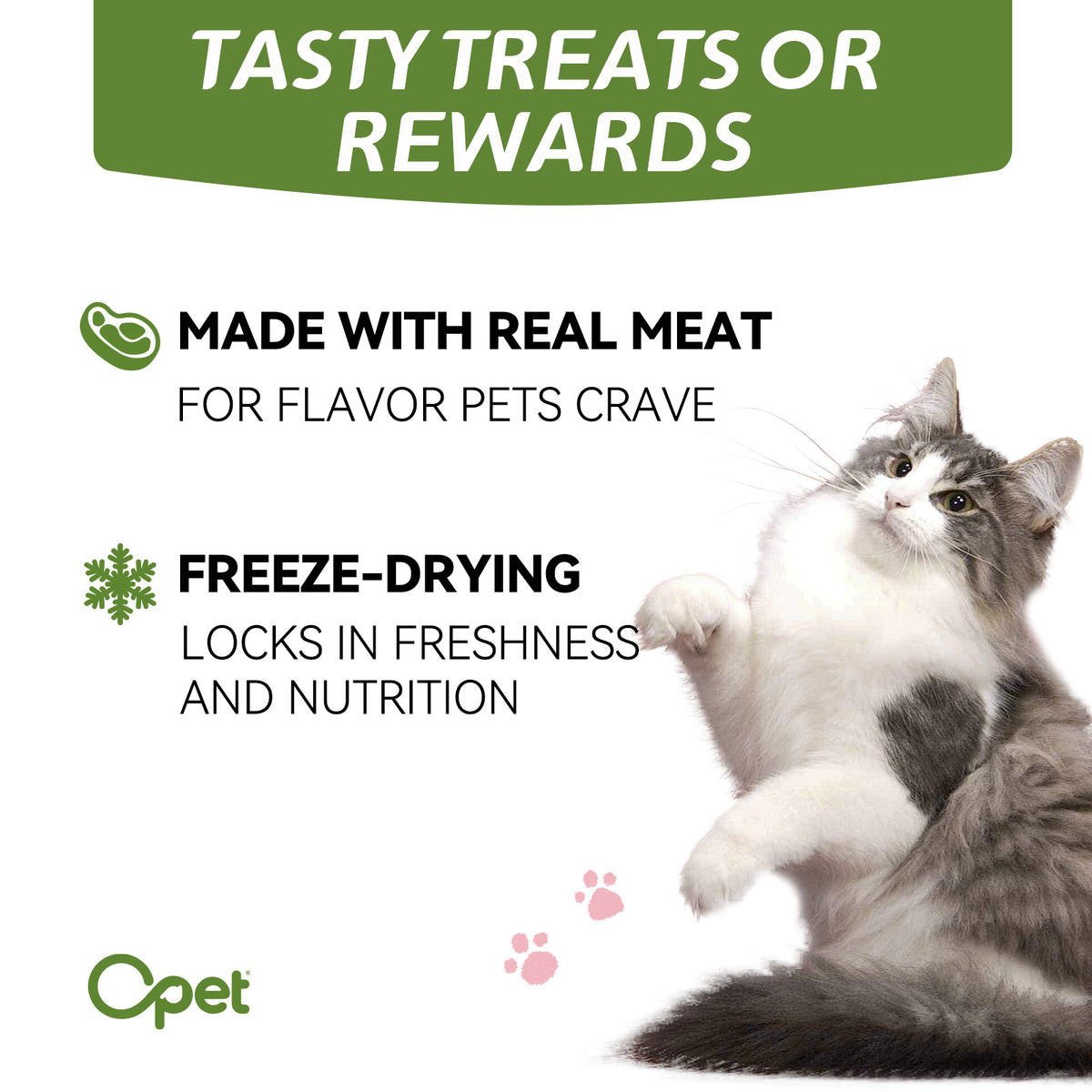 OPET Purr Bites Freeze Dried Cat Treats (Pork, 42 g)