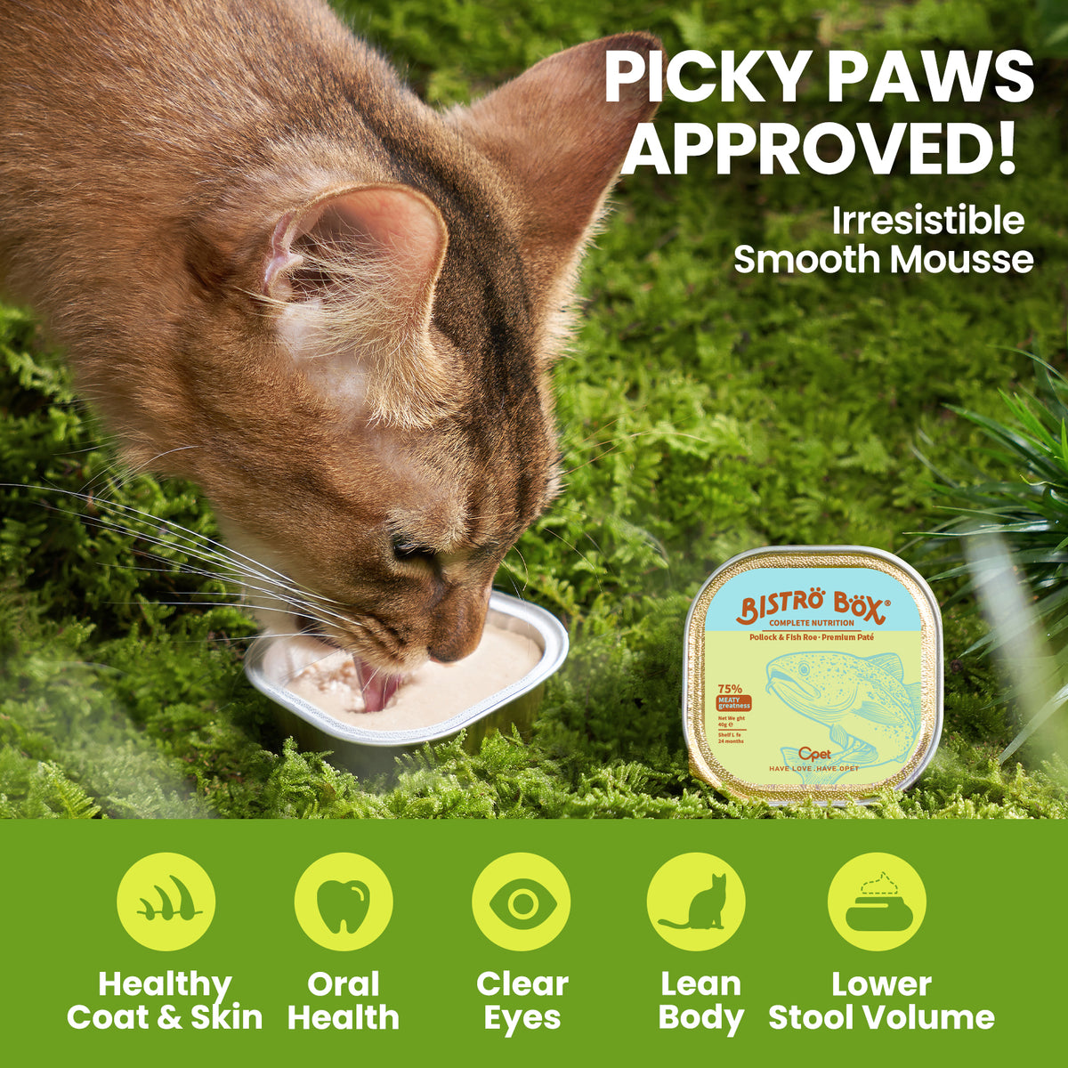 OPET Bistro Box Wet Pate Cat Food